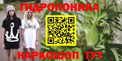 герыч Будённовск
