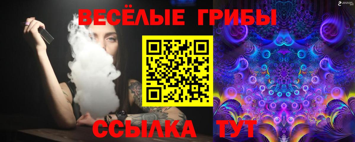 Юрга  Галлюциногенные грибы мицелий  купить наркотики цена  Вход с VPN 